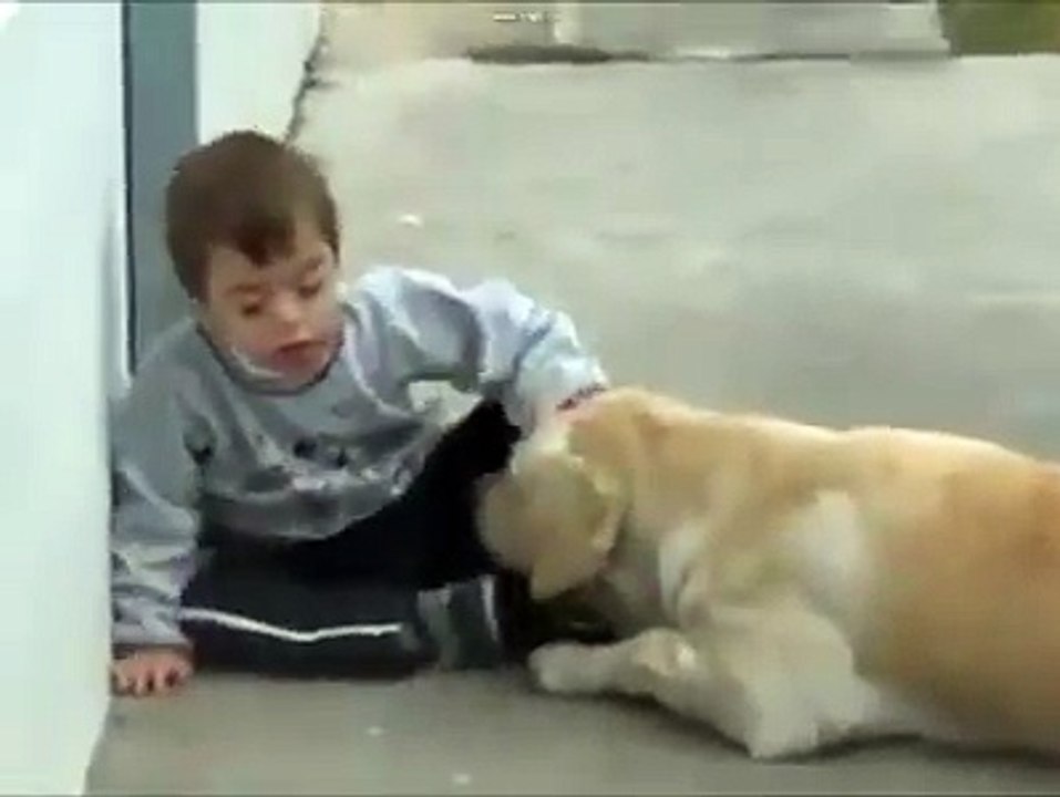 Loving dog takes care of little boy with Down syndrome
