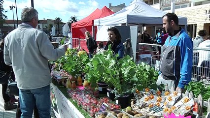 Les Floralies du Barcarès