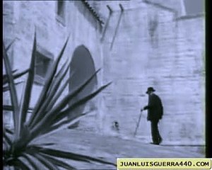 Juan Luis Guerra - Viviré 🎶 | Inspiring Song to Uplift Your Spirit