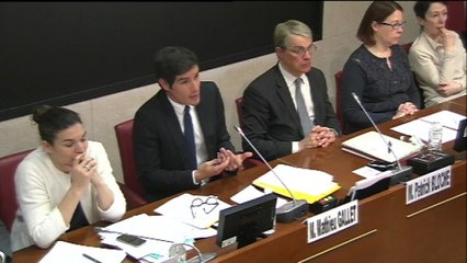 Mathieu Gallet : "Ma faute, c'est probablement d'avoir intégré les contraintes très tôt"