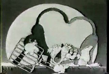 sittin on a backyard fence (low quality)