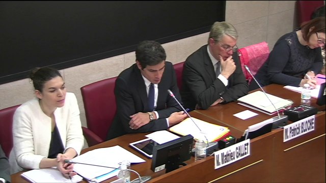 Radio France : audition de Mathieu Gallet à l'Assemblée
