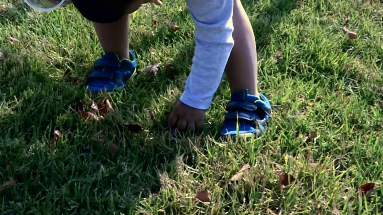 Easter Egg Hunt in the Park