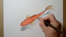 How to Draw a Goldfish - 3D Art Drawing