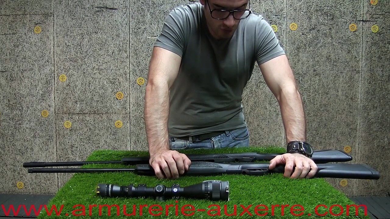 Diana 31 Panther Vs Walther Terrus - carabine à plombs