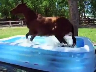 Everyone Needs Access to Swimming Pools - Postober