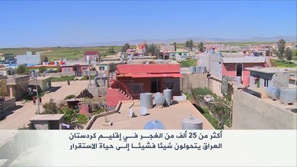 الغجر بكردستان العراق يتحولون إلى حياة الاستقرار