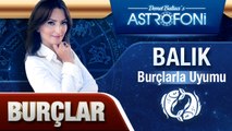 BALIK BURCU VE DİĞER BURÇLAR