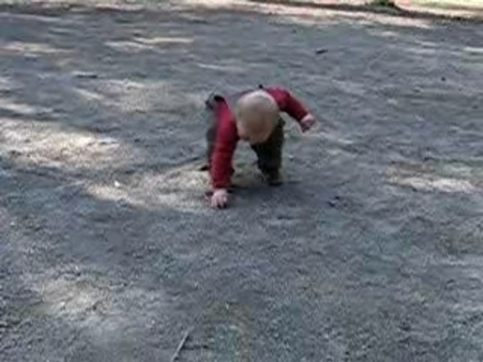 Romain dans la forêt