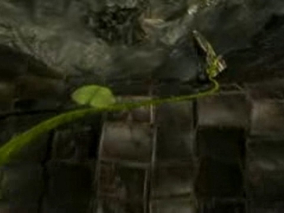 The Fall
