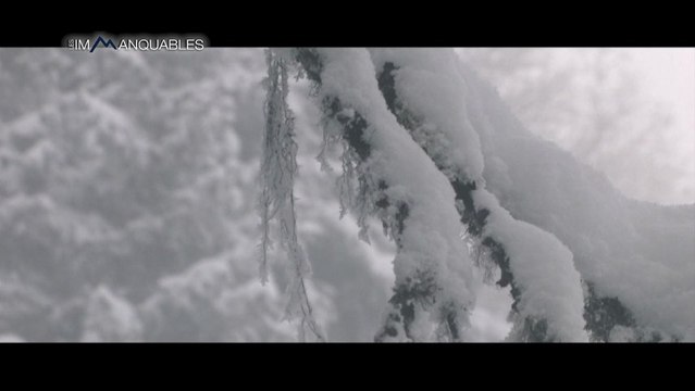 Les Immanquables: The element