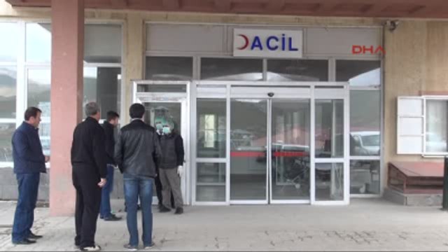 Yüksekova'da Domuz Gribi Şüphesi