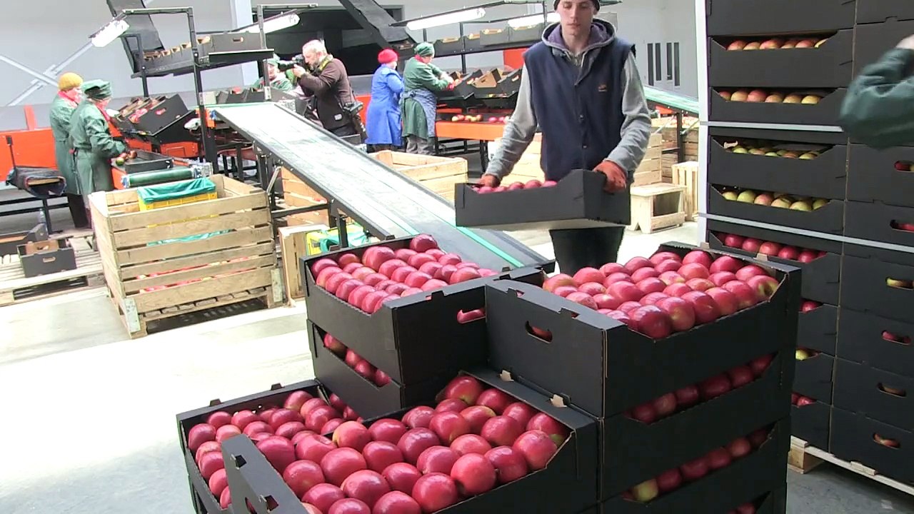 Moldauische Obstbauern leiden unter russischem Embargo
