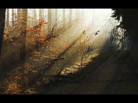 Richard Wagner: Lohengrin - Overtüre