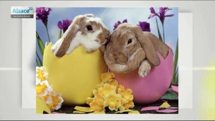 La chronique de Pierre Nuss : les traditions de Pâques