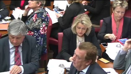 Audition de Mathieu GALLET - Radio France - 8 avril 2015