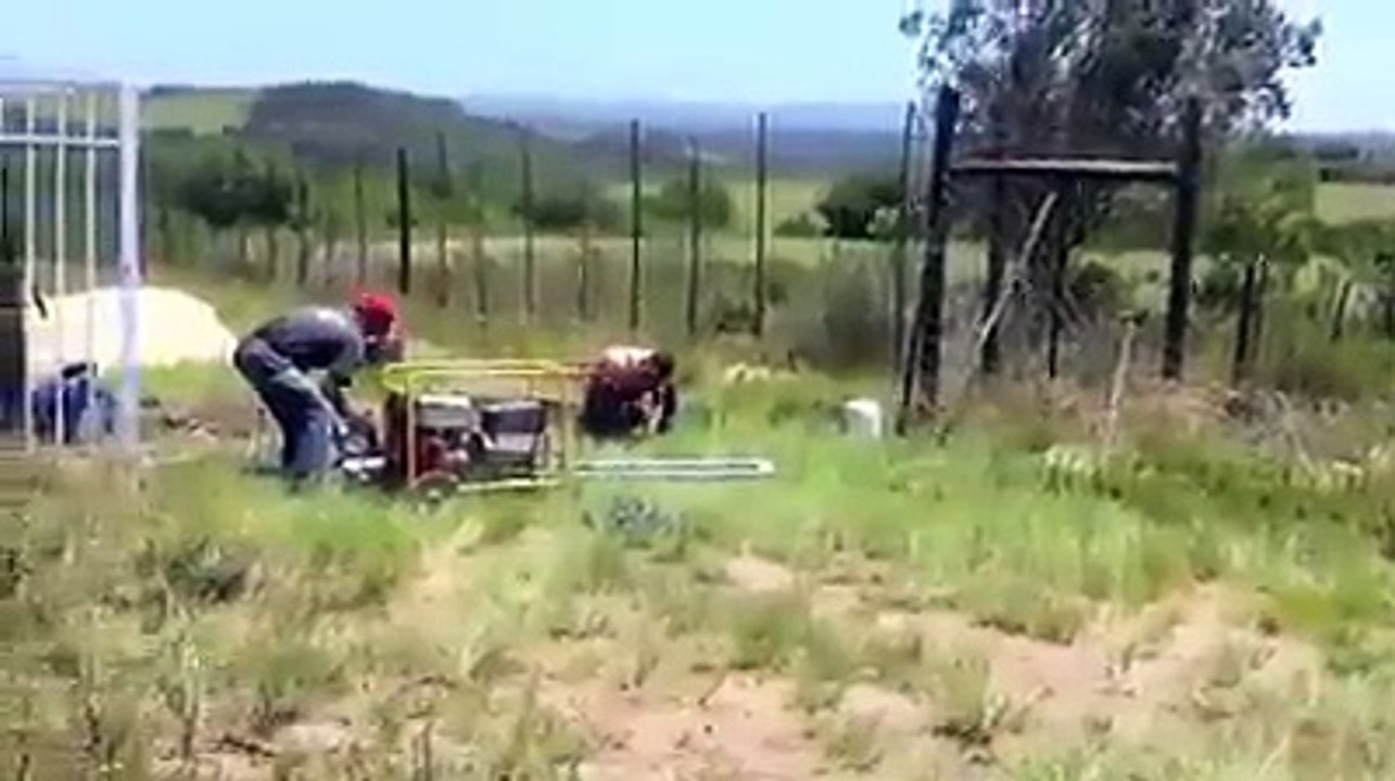 OHAA...Yılanı Görünce Bayıldı...
