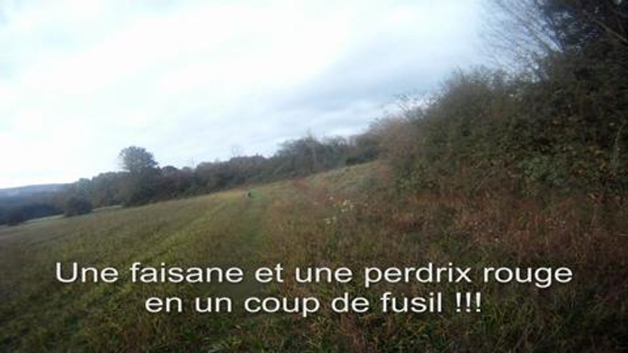 Le coup de l'empereur, une perdrix rouge et un faisan d'un seul coup de fusil