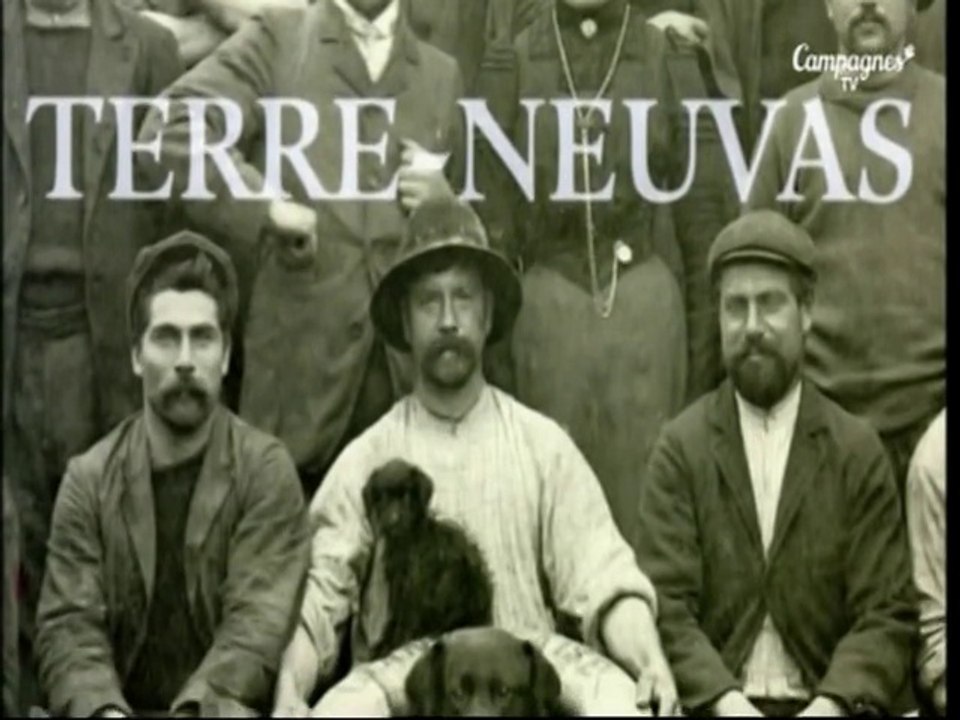 Terre-Neuvas