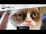 Grumpy Cat rendeu mais de US$ 60 milhões à sua dona / Que tal jogar Pong no semáforo? | TecNews