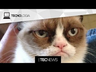 Скачать видео: Grumpy Cat rendeu mais de US$ 60 milhões à sua dona / Que tal jogar Pong no semáforo? | TecNews