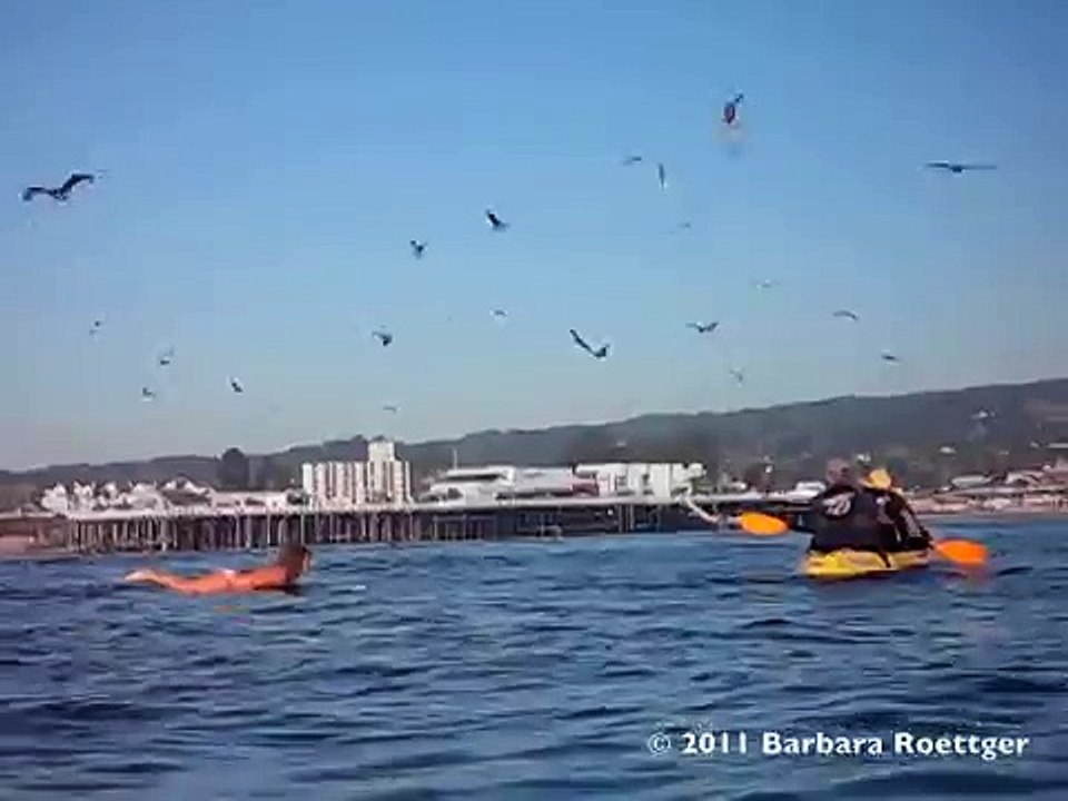 Elle filme sa fille au moment où elle surfe, mais ce qu'elle voit est incroyable