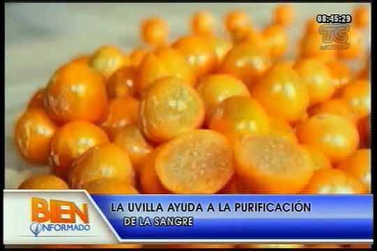 Bien Informado - Beneficios de la Uvilla