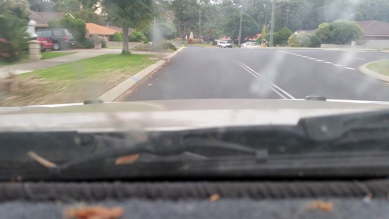 Parked Under The Bushes