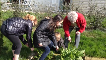 Chasse aux œufs à Domitys