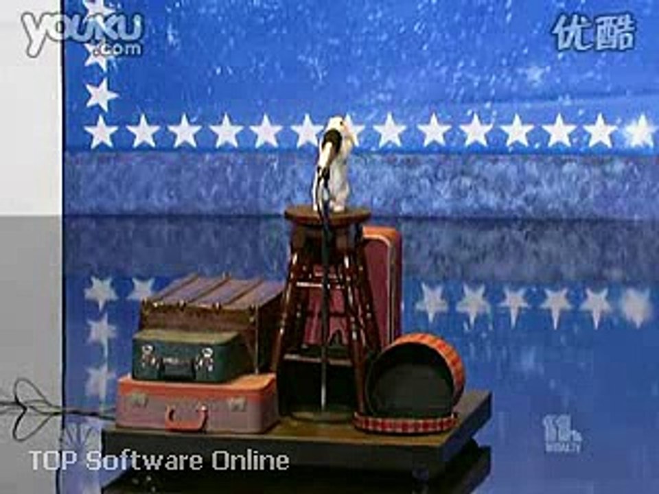 A Rabbit Funny Show