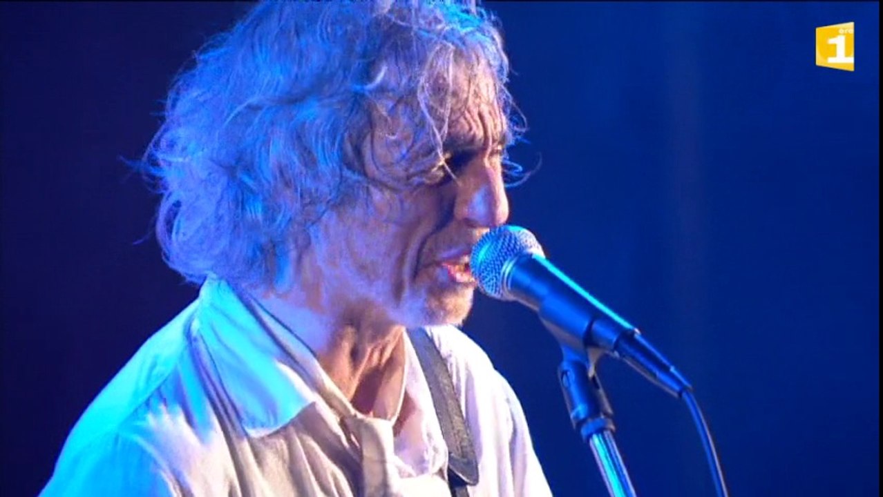 Live - Louis Bertignac en concert