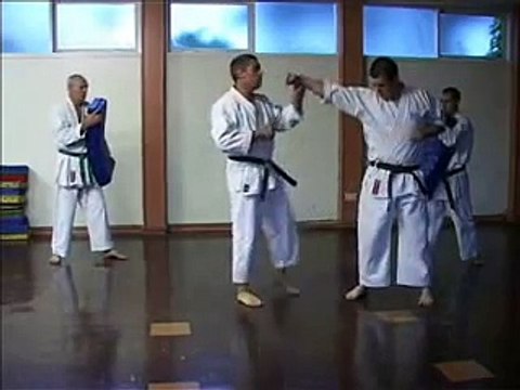 GOJU RYU KARATE - TRAINING TECHNIQUES 1 - KIHON BASICS
