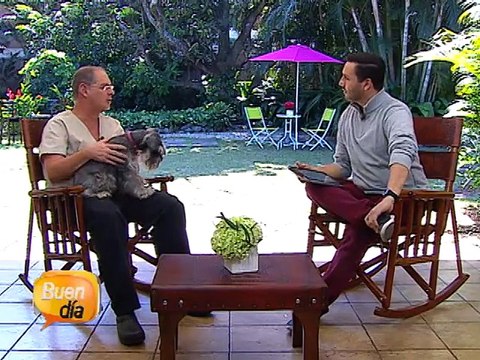 Las 5 claves para el éxito de la 'Sele' según FIFA