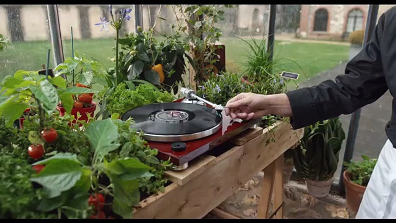 Dufresne Corrigan Scarlett pour Fédération internationale des Logis (FIL) - «Vous faire plaisir, c'est leur plaisir» - avril 2015 - 25s