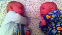 cutest twin babies talking!