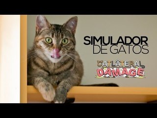 Catlateral Damage, o simulador de gatos | TecNews
