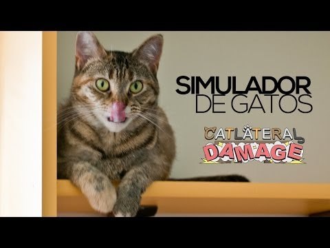 Catlateral Damage, o simulador de gatos | TecNews