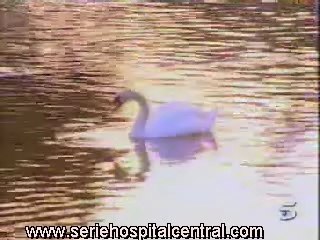 Montaje-musical_Maca-Esther