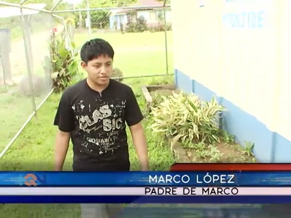 Crean lápices que se siembran y se convierten en plantas