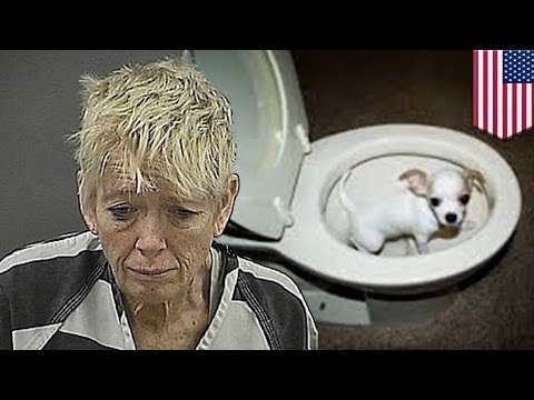 Женщина утопила щенка, которого ей не разрешили взять в самолёт