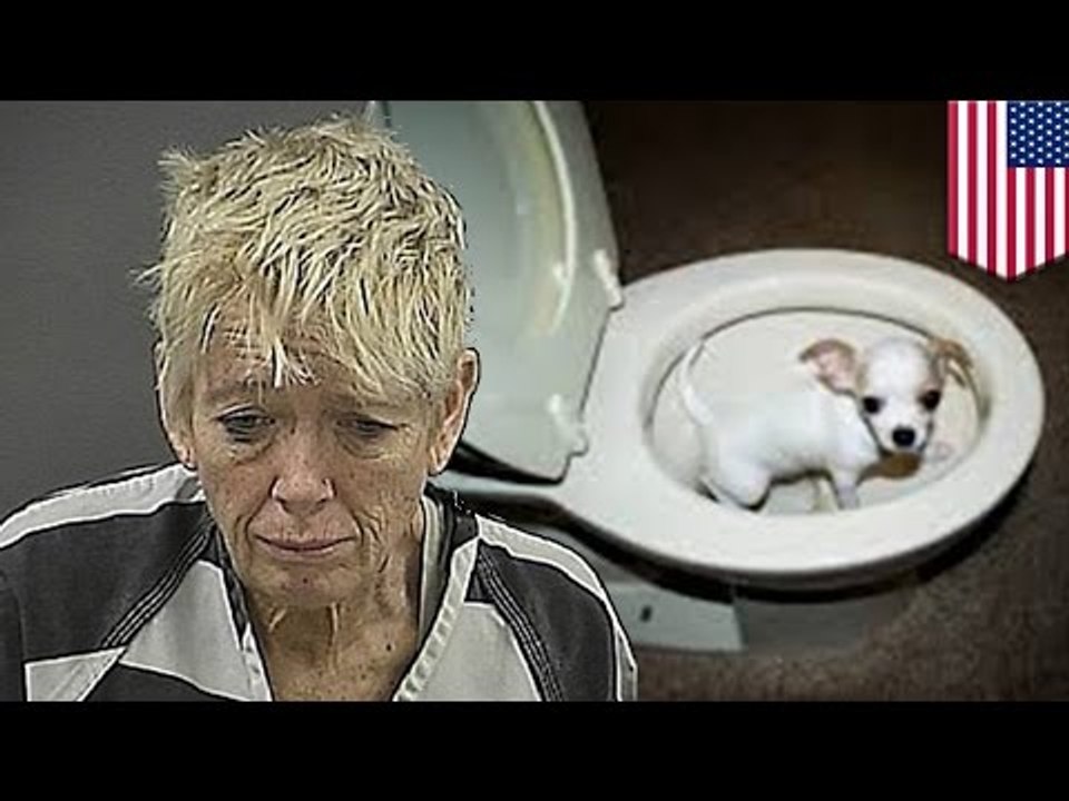 Женщина утопила щенка, которого ей не разрешили...