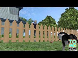 Mann stopft Rasierklingen in Speck und tötet Hund