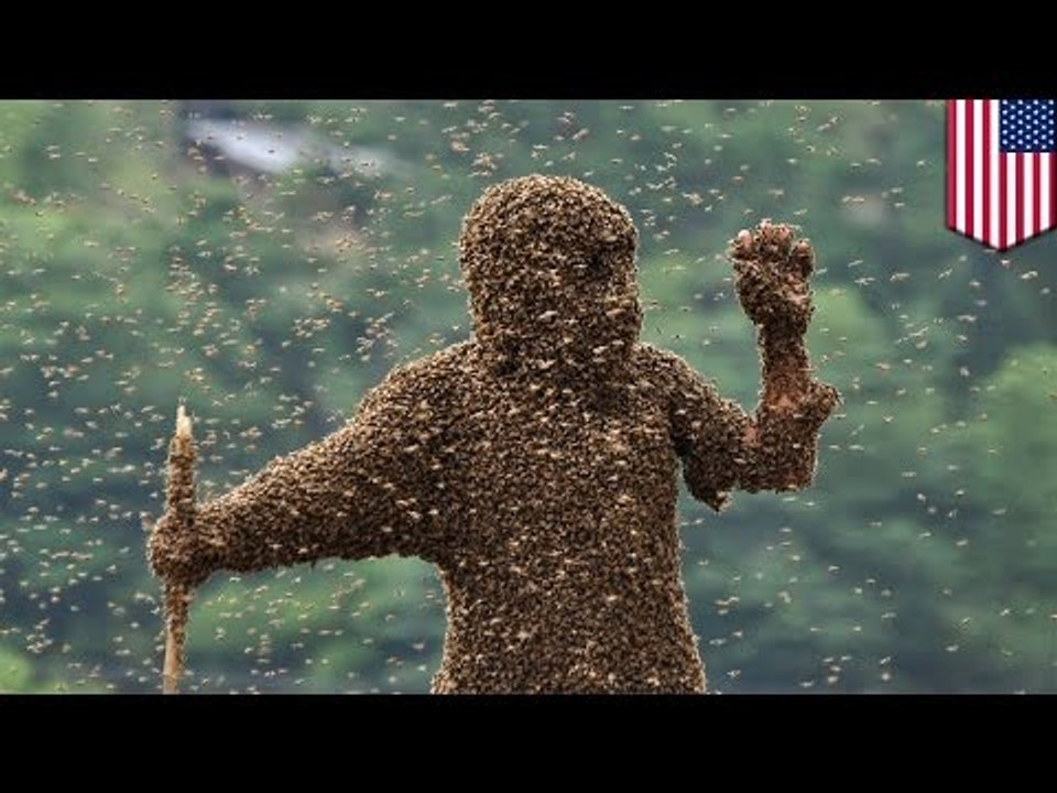 Mann fährt Auto in Bienenhaus und stirbt