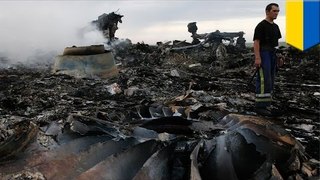 Russische Separatisten schießen ausversehen malaysische Passagiermaschine in Ukraine ab