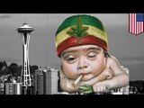 Seattle wird eine ganze Menge grüner