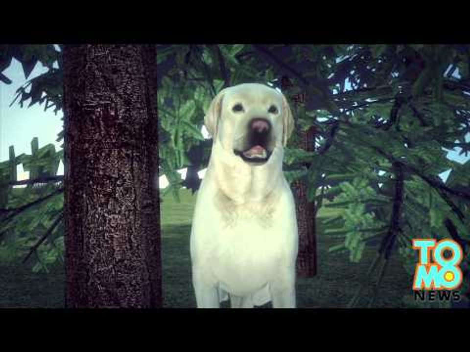 Ein fast 2 Jahre lang vermisster Hund wird unversehrt in der Nähe vom Tahoe See gefunden