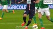 PSG 4 - 1 St Etienne All Goals and Highlights Coupe de France 8-4-2015