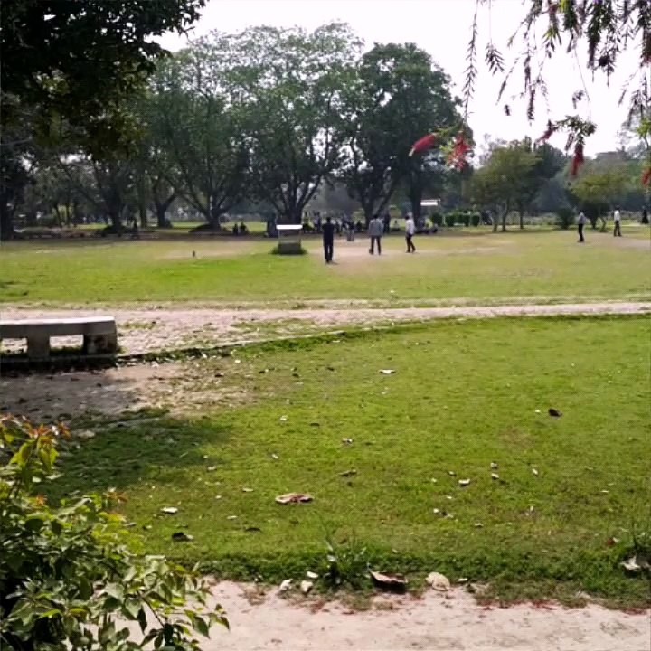 slowmo cricket