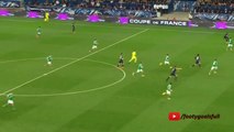 Zlatan Ibrahimovic Second Goal - PSG vs St Etienne 3-1 (Coupe de France 2015)