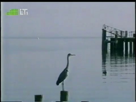 Λίμνη Λεμάν (Γενεύης) - Geneve et le lac Leman